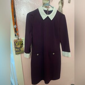 Tommy Hilfiger Deep Purple Dress with White Collar